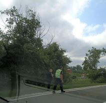 Auto završio na drvetu pored puta