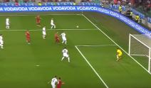 Gol Srbije 0-1 (7).jpg