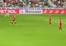 Istrčao na teren  (3).jpg