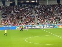 Istrčao na teren  (2).jpg