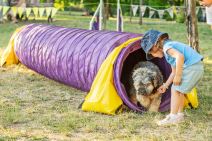 VELIKA POSEĆENOST PRVOG REGIONALNOG FESTIVALA PASA SVIH RASA