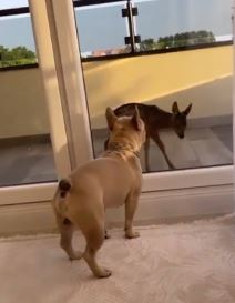 Screenshot 2022-06-26 101014.jpg