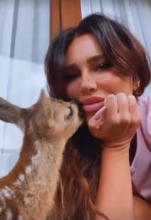 Screenshot 2022-06-26 101049.jpg