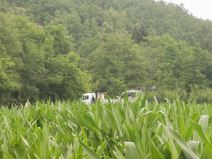 Nesreca, cacak (2).jpg