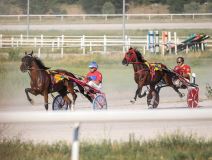 Nikola Jokić Hipodrom-6.jpg