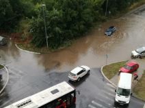 Vozio kajak na Bežaniji