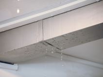 Poplava u Zemunu-3.jpg