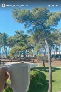 sloboda mićalović1.jpg