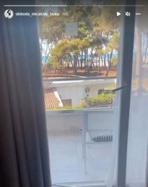 sloboda mićalović2.jpg