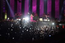 Ceca Raznatovic, Nastup (10).jpg