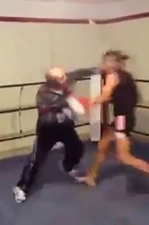 Matori bokser (6).jpg