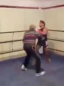 Matori bokser (7).jpg