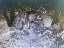 Klanica, vikendica, velja nevolja (4).jpg