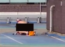 par imao intimne odnose na krovu trznog centra.jpg