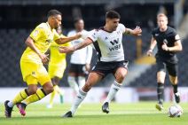 Aleksandar Mitrović  (1).jpg