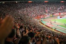 Navijači, Stadion, Rajko Mitić, Marakana, Crvena Zvezda (3).jpeg