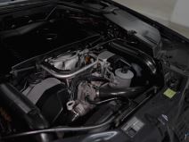 slob amercedes slon  (2).jpg