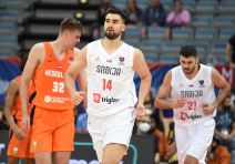 Dušan Ristić, Srbija Holandija