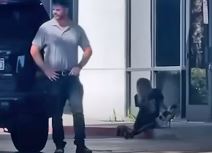 Životna priča Kare Delevinj