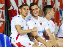 stefan leković