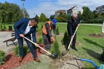 U SUBOTICI POSAĐENO 75 SADNICA ČETINARA: U akciji učestvovao i gradonačelnik Stevan Bakić! (FOTO)