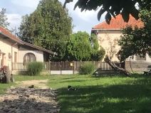 žena porodila polila benzinom rina  (4).jpg