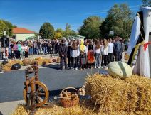 Miholjski susreti sela 2022 FOTO SIRMIUMINFO