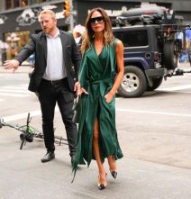 Viktorija Bekam  (3).jpg