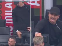 zlatan ibrahimović