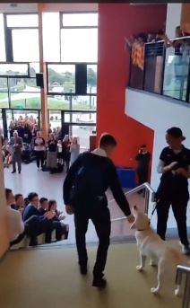 Doček Boksera  (4).jpg