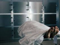 bolnica kremiranje mondo.jpg