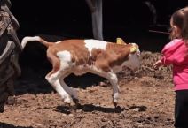 Nemanja Popovic (4).png