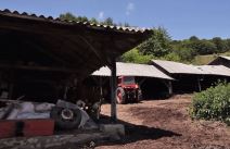 Nemanja Popovic (5).png