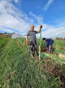 Miroslav Cacak (4).jpg