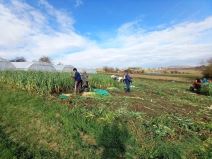 Miroslav Cacak (1).jpg