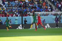 Rigobert Song izjava pred meč sa Srbijom