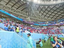 Srbija Katar 2022 (5).jpeg