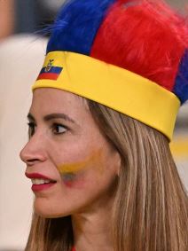 Uživo prenos SAD IRAN ENGLESKA VELS TV ARENA SPORT