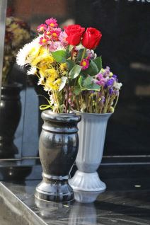 Grob Nikola Bojovic (5).jpg