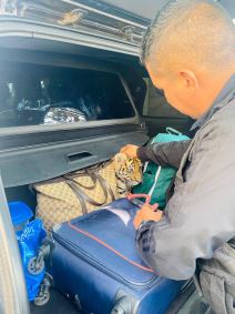 tigar policija 2.jpg