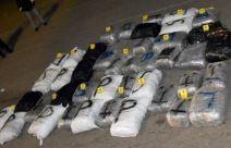 ZAPLENJENO 322 KILOGRAMA MARIHUANE-3.jpg