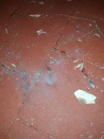 Vandalizam u parku-2.jpg