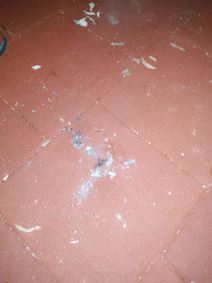 Vandalizam u parku-3.jpg