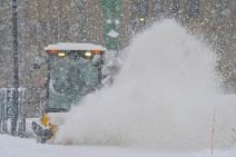 Micigen Sneg (3).jpg