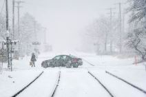 Micigen Sneg (4).jpg