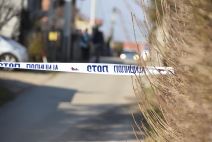 Hronika Surcin (3).jpg