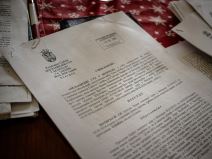 dragana_milisavljević_stefan_stojanović_ (2).jpg