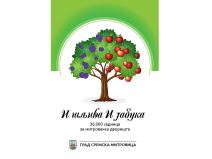 NASLOVNA Grad Sremska Mitrovica .jpg