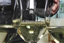 Vino vinski podrum (4).jpg