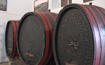 Vino vinski podrum (5).jpg